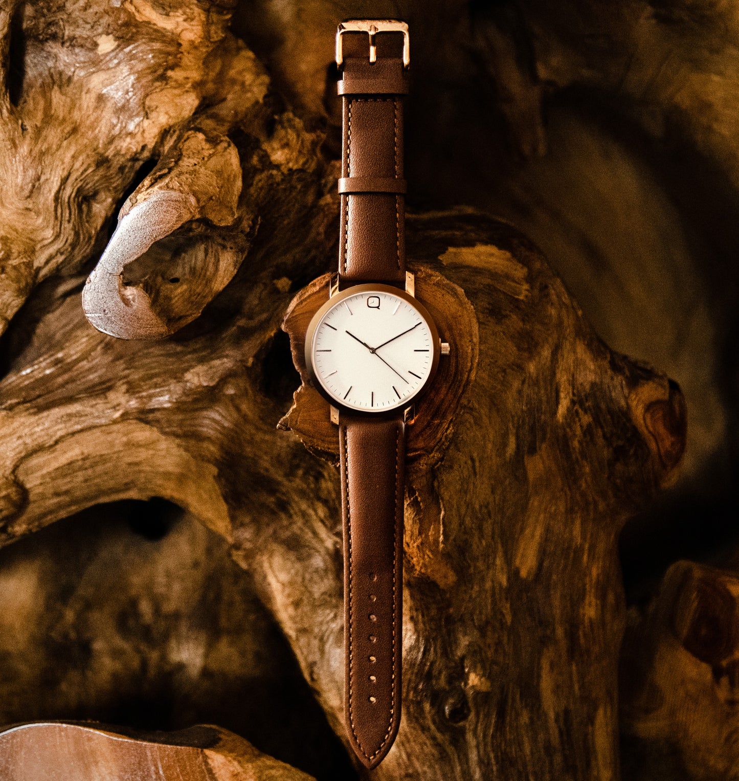 GOLDEN SANDS | 44MM